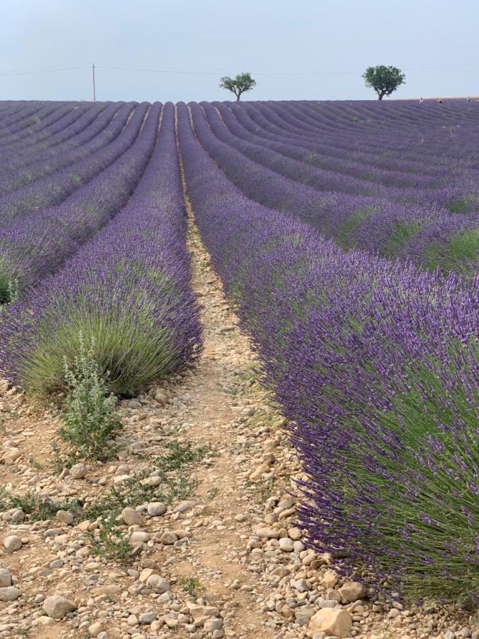 Studio Nuitee En Provence 2 Éguilles Exteriér fotografie